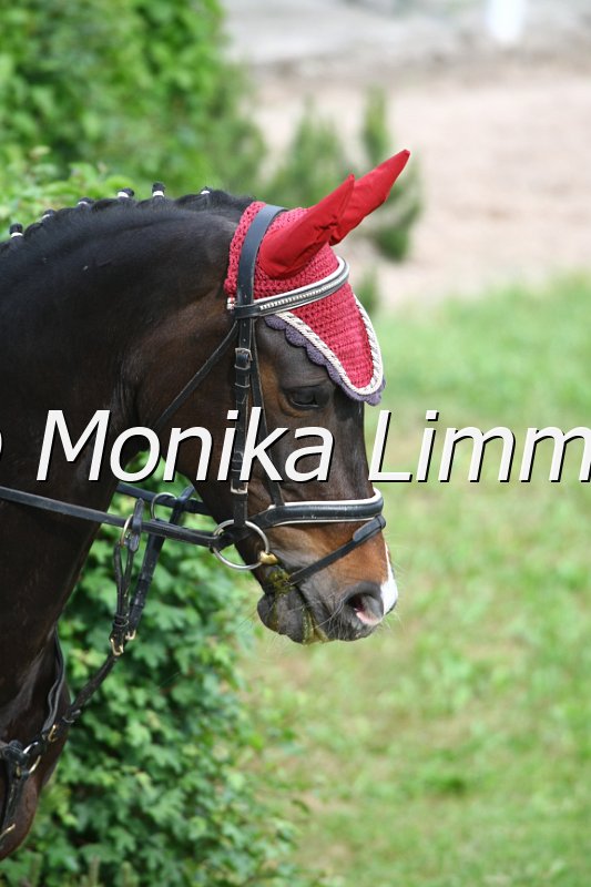 105M1171_CFs Oliver Krak_Stil_A.JPG